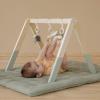 Little Goose wooden play arch