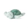 Tranquil Turtle Green 3in1 night light