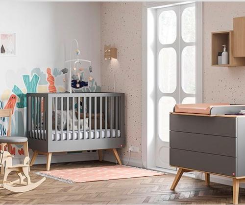 Small Gray Nature Room Bed and Dresser